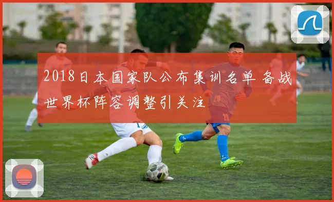 2018日本国家队公布集训名单 备战世界杯阵容调整引关注
