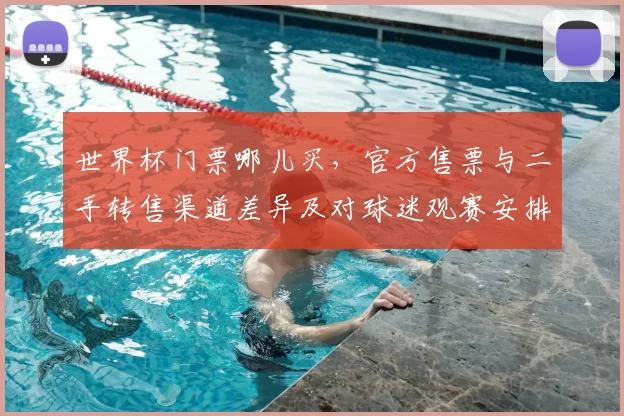 世界杯门票哪儿买，官方售票与二手转售渠道差异及对球迷观赛安排影响