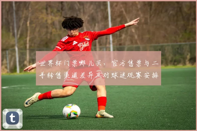 世界杯门票哪儿买，官方售票与二手转售渠道差异及对球迷观赛安排影响